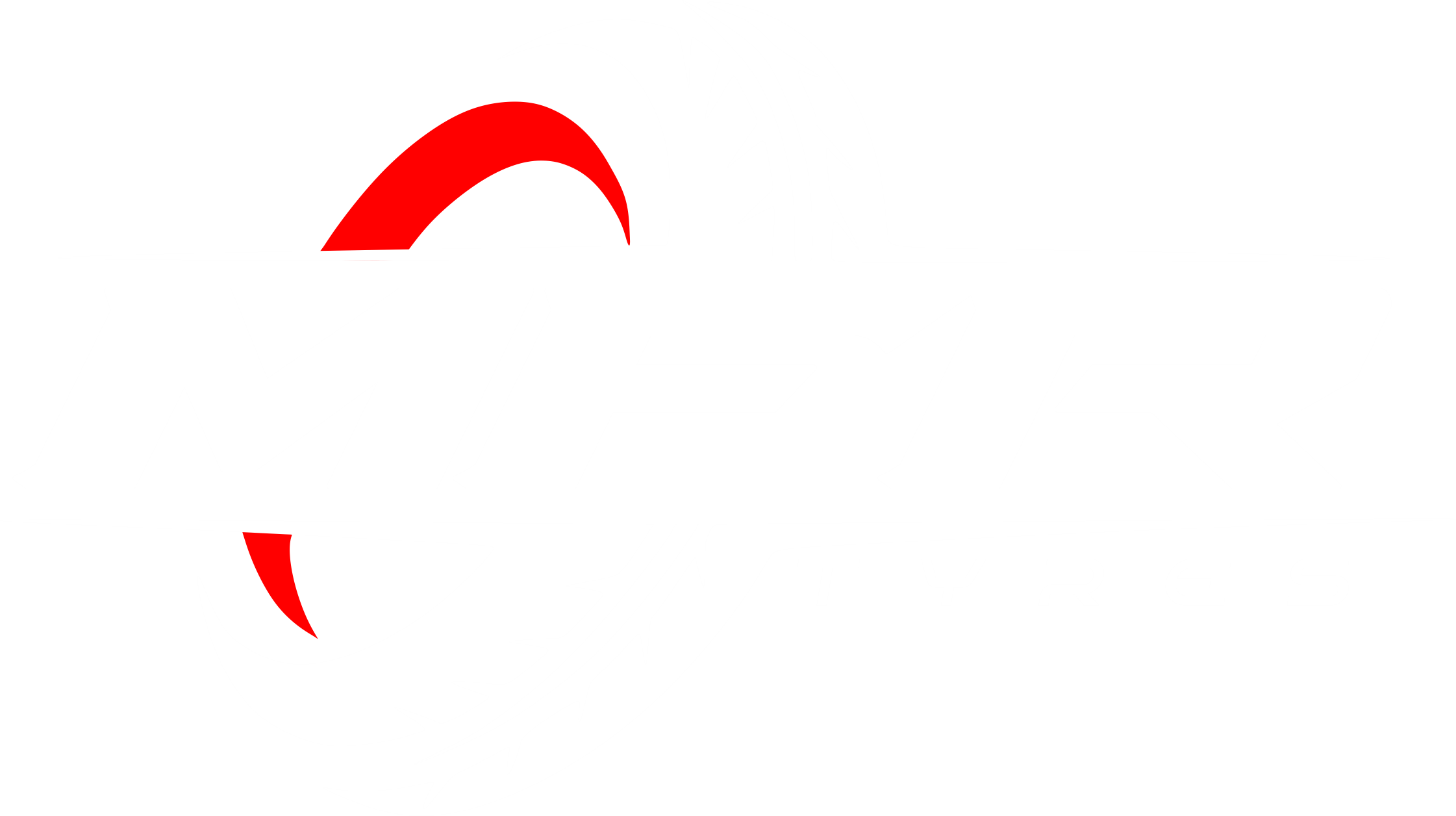 TYRE BRAND 1,1